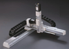 Track-Embedded Type Cartesian Robot XYGT321-A